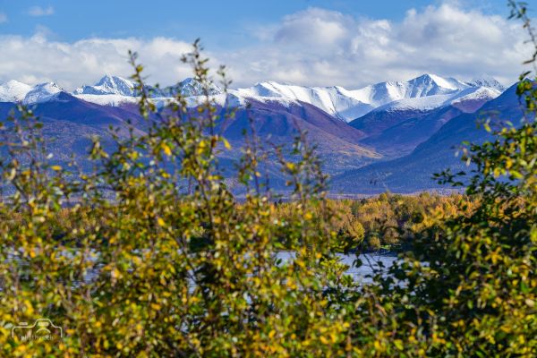 Alaska 2022