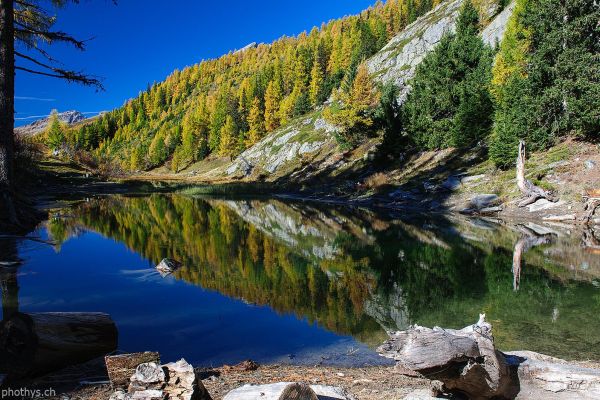 Landschaft